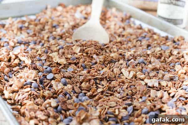 Mocha Nut Granola