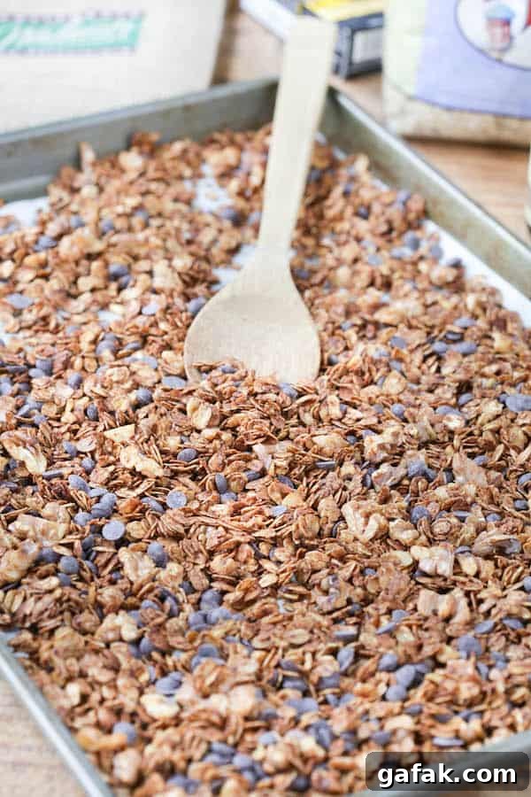 Mocha Nut Granola