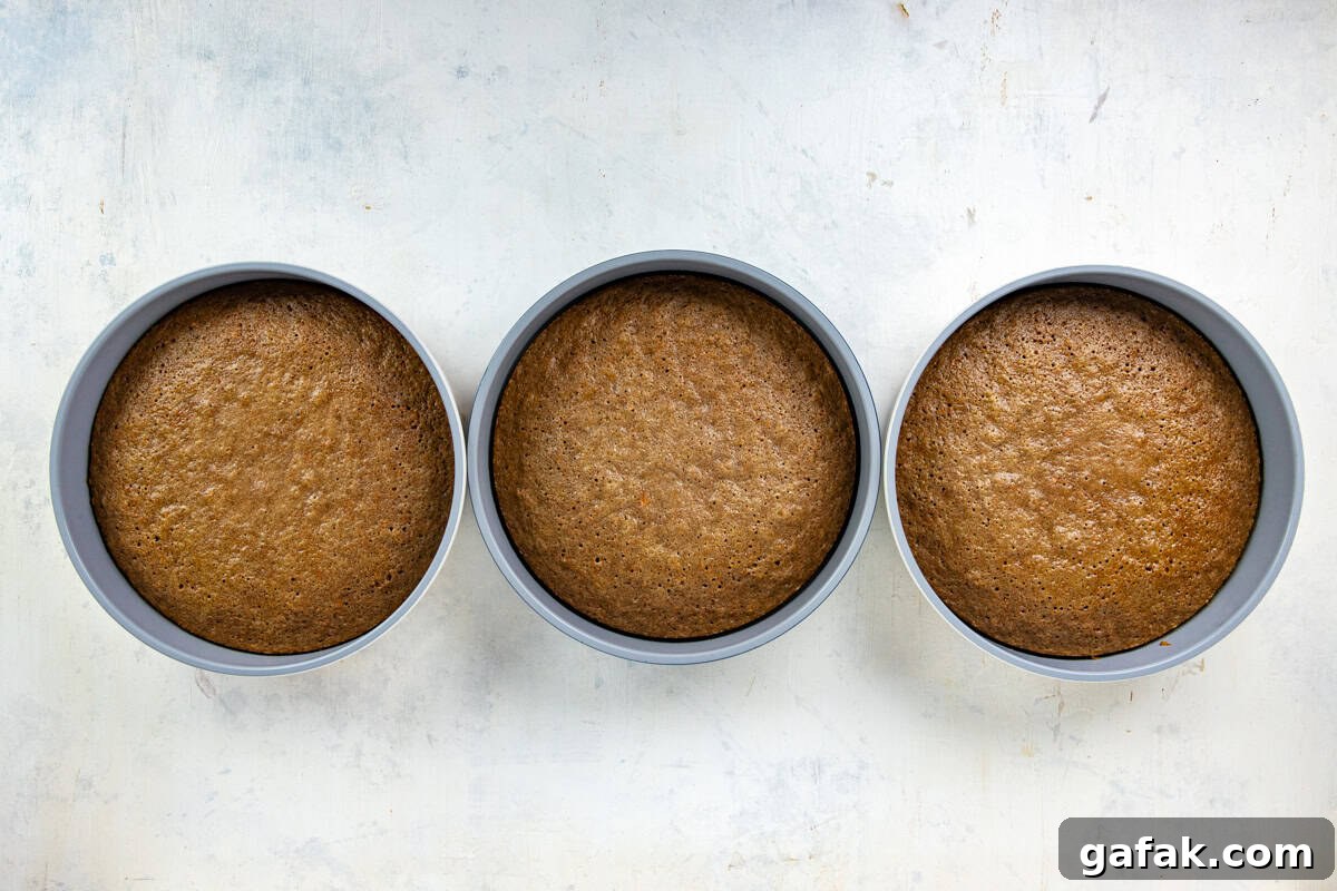 Three round cake pans with baked carrots cake layers.