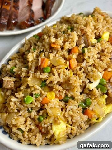 plate of fried rice