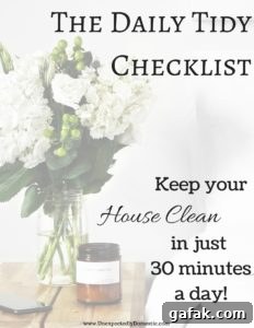 Daily tidy infographic