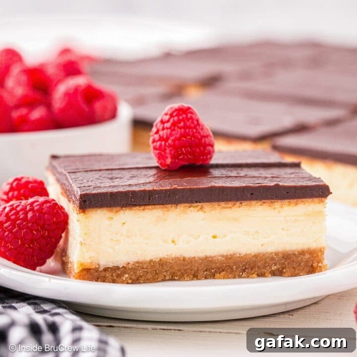 A square of cheesecake on a plate topped with chocolate and a raspberry.