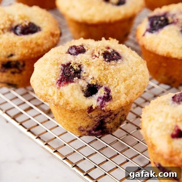 Wire cooling rack filled with baked blueberry muffins with lemon zest and turbinado sugar topping.