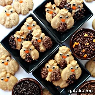 Cinnamon Spritz Owl Cookies Recipe — Crisp Spiced Tea Cookies 2 Cinnamon Spritz Owl Cookies