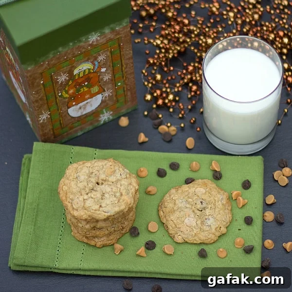 Triple-Chip Oatmeal Cookies Recipe — Chewy Oats & Chocolate Chips 4 triple chip oatmeal cookies sq3