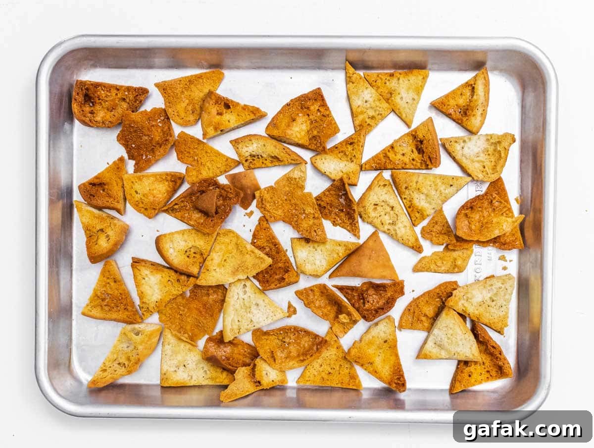 Fatteh with Pita, Hummus, and Creamy Yogurt Bowl 7 roasted pita chips