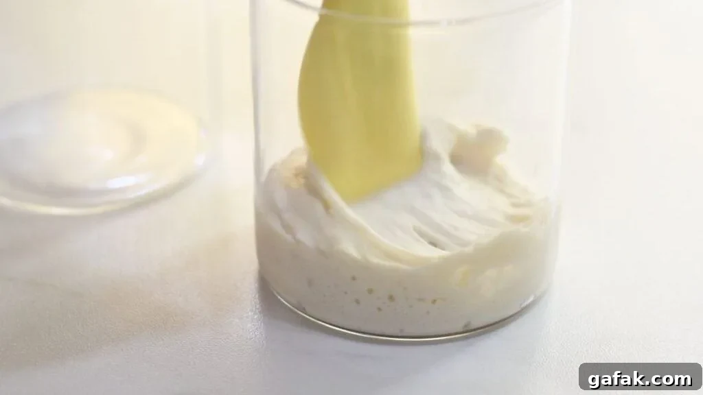 Step by step process of making sourdough starter