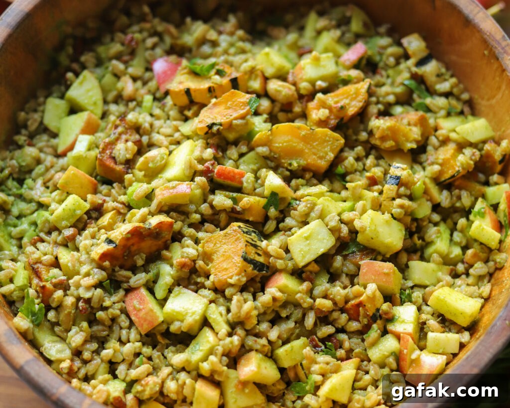 close up view of a farro salad with roasted squash, apples, pecans, and more in a parsley vinaigrette.