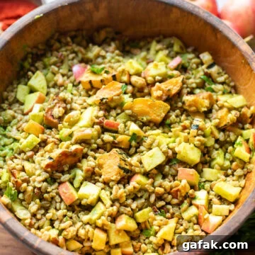 overhead view of a wooden serving bowl with a marinated grain salad made with apples, delicata squash, pecans, and more in a homemade lemon maple dijon vinaigrette.