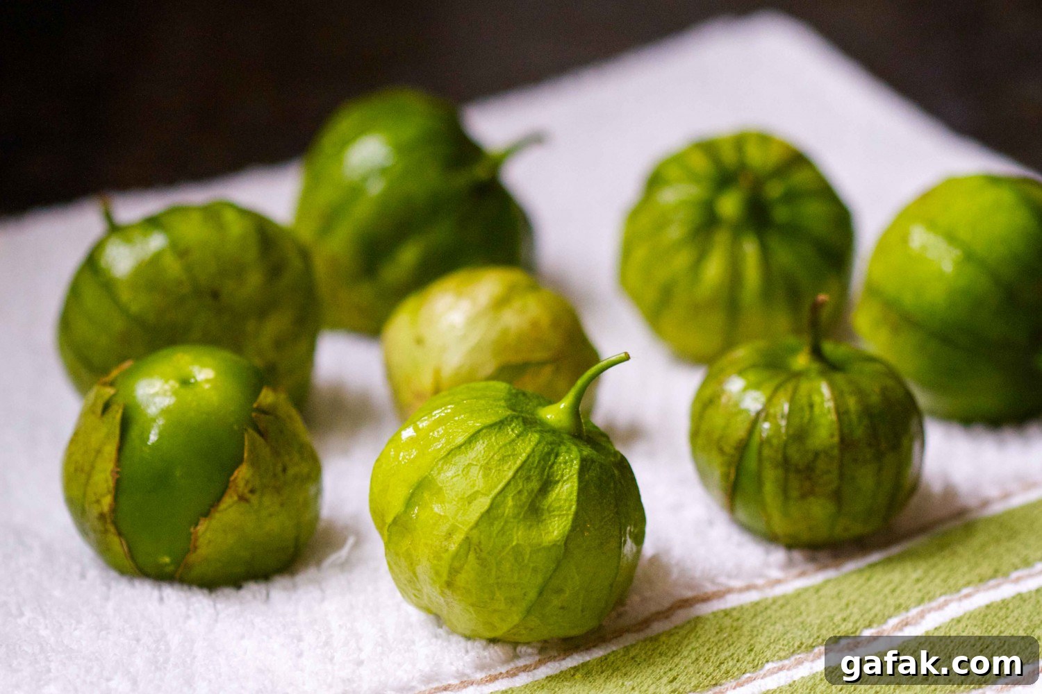 Tomatillos - PaleoSpirit.com