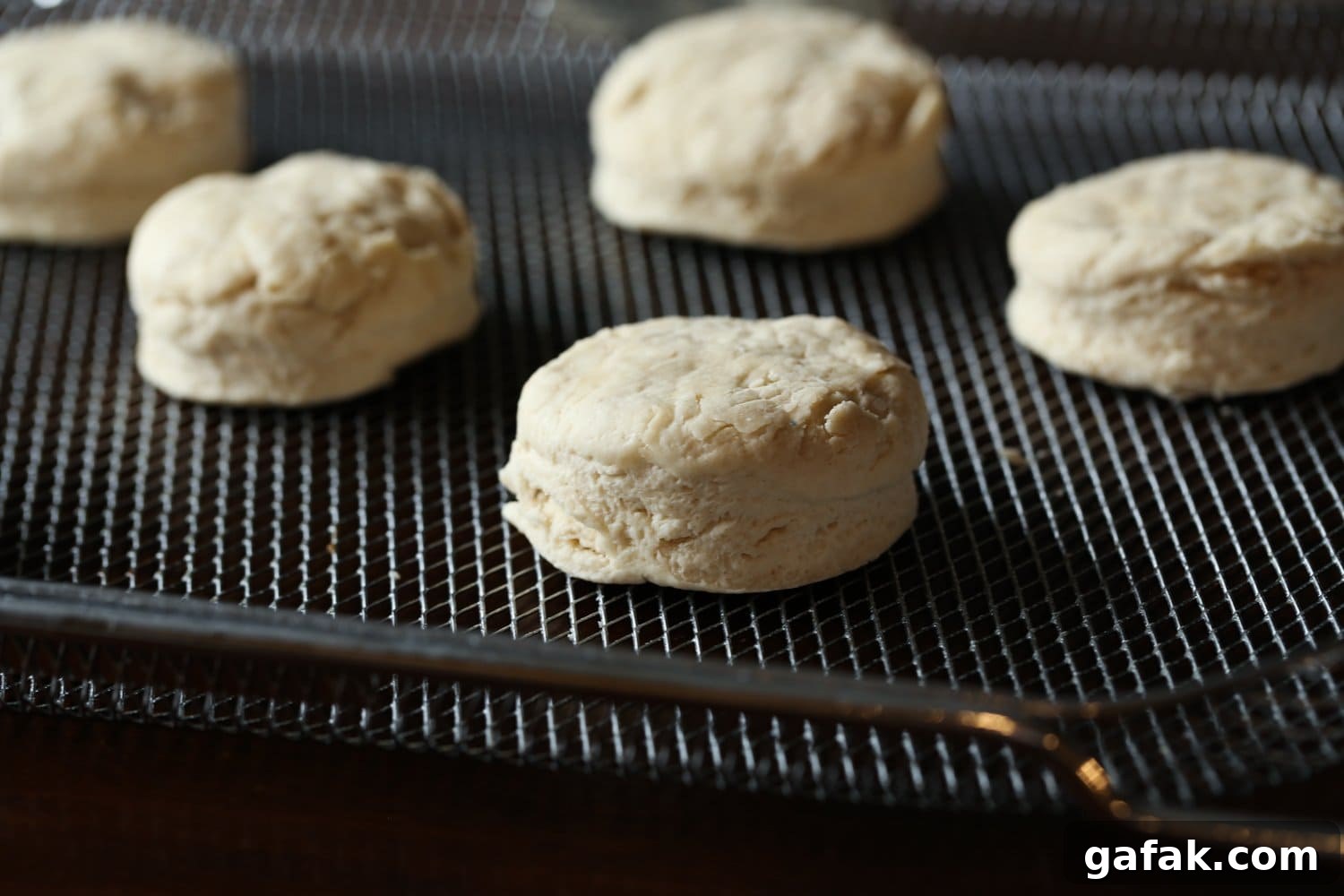 biscuit dough on an air fryer rack