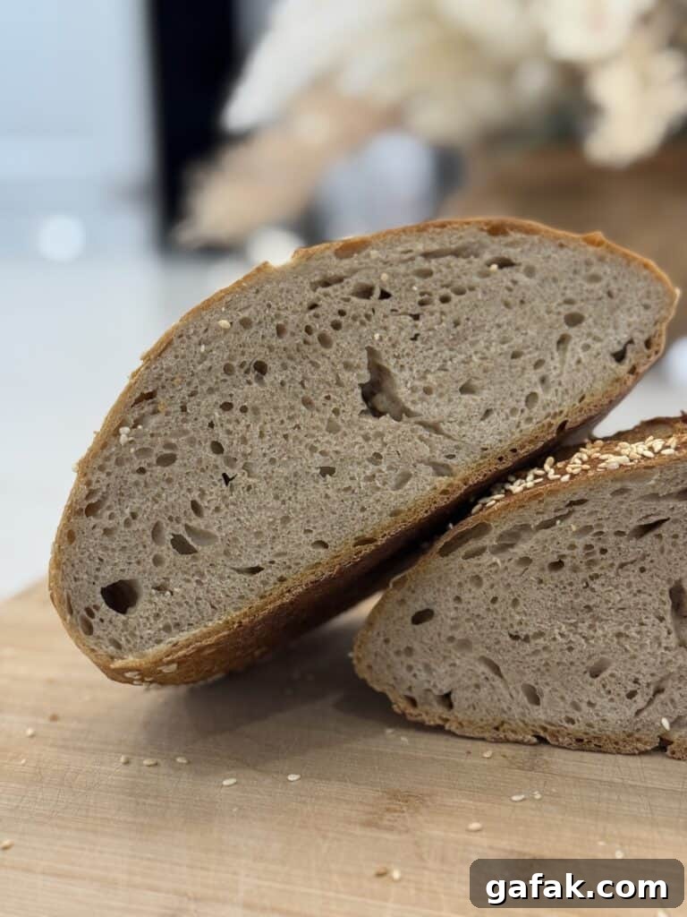 no-knead whole-wheat bread