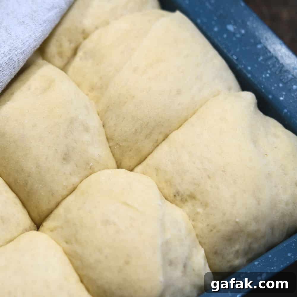 dough balls in a baking pan now risen to double the size