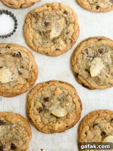 a bunch of chocolate chip potato chip cookies with a little salt on the side.