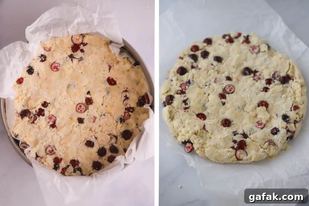 Scone dough shaped into a circle and filled with fresh cranberries.