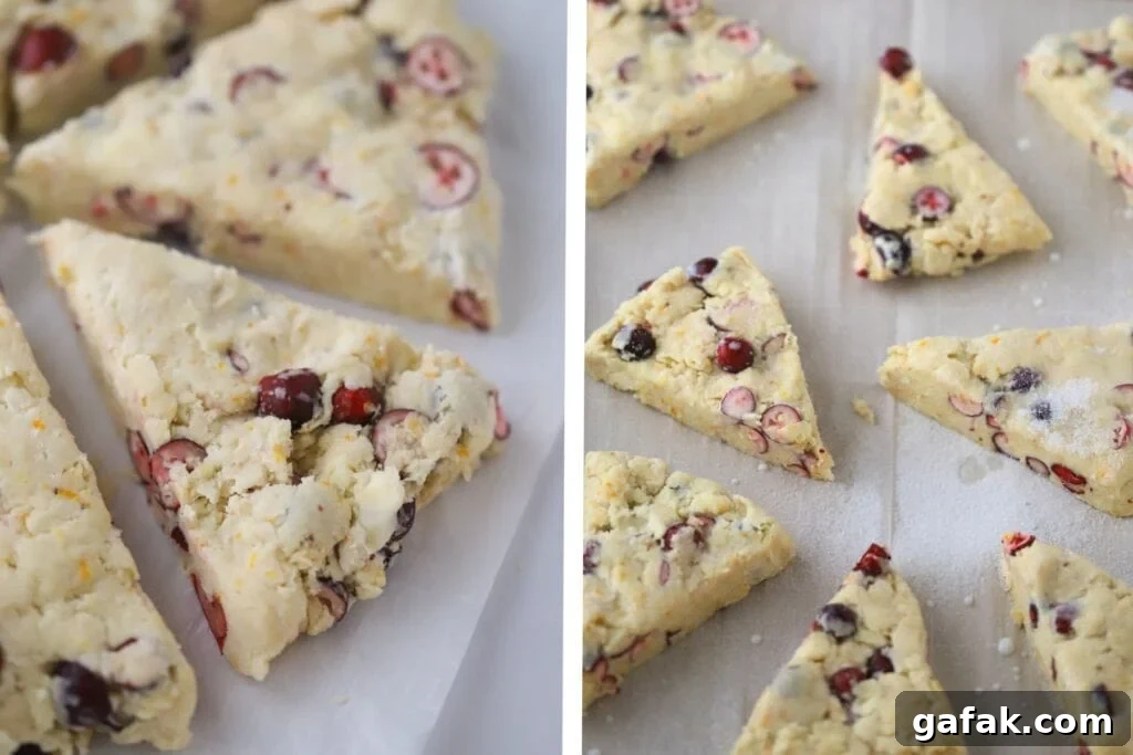Scones with cranberries and orange zest cut into triangles and ready to bake.
