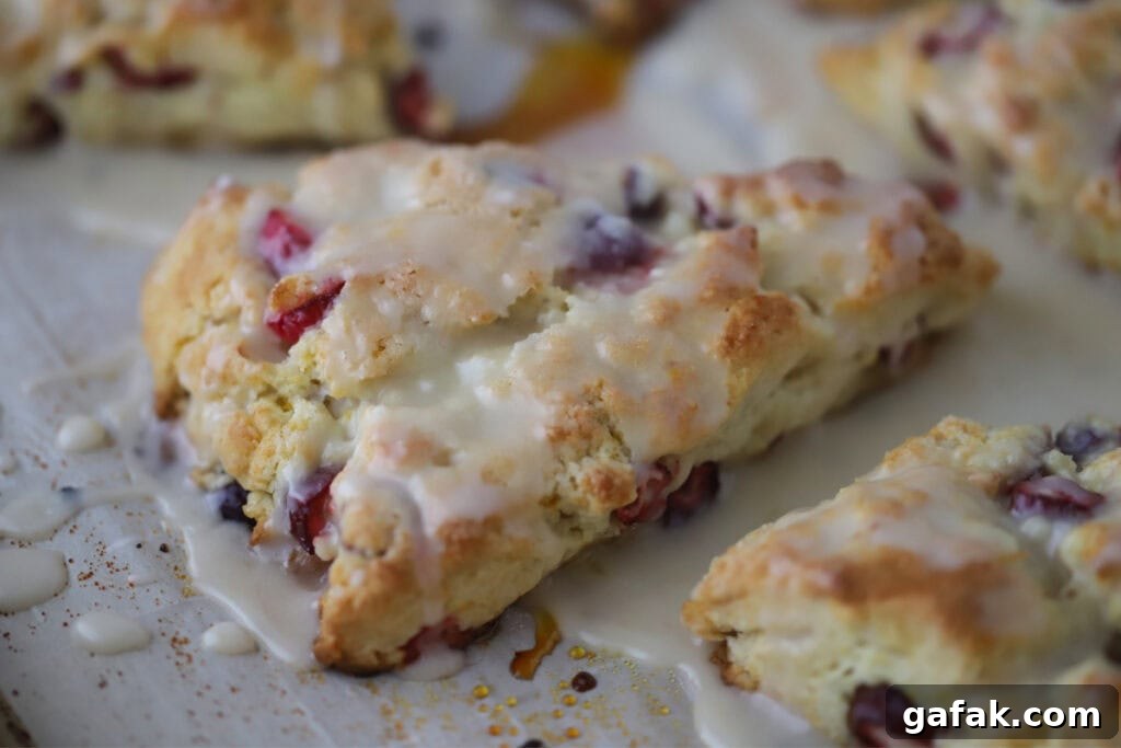 Freshly baked cranberry scones on a baking sheet, topped with orange glaze.