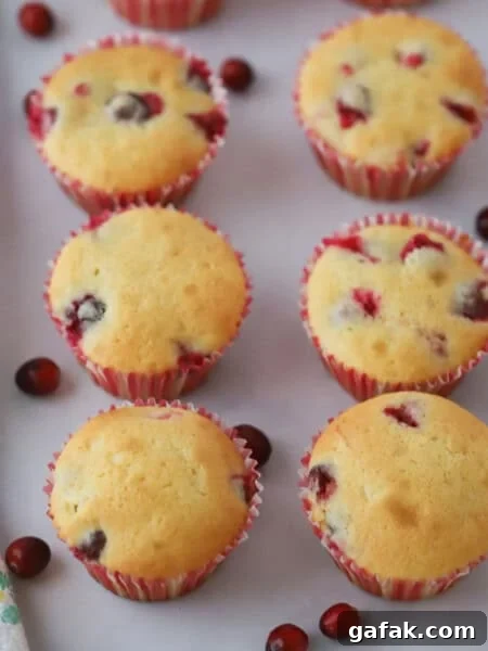 Cranberry muffins
