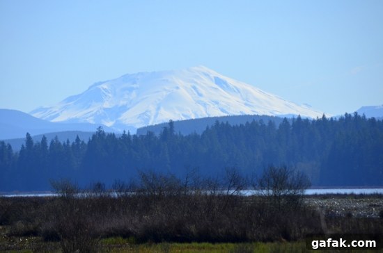 Mount St. Helens Mount St. Helens