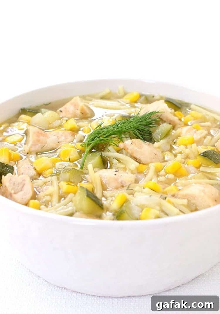summer-grilled-chicken-soup-featured