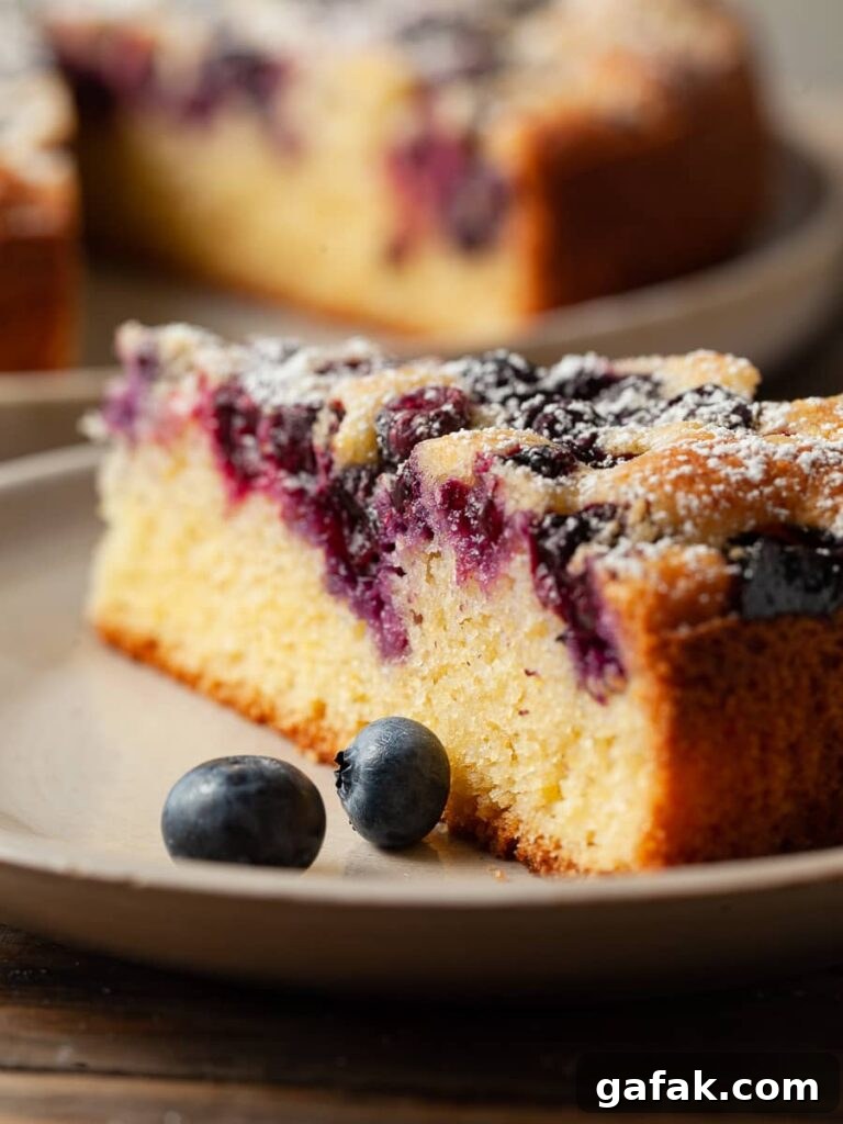Gluten-Free Blueberry Cake Recipe with Moist, Tender Crumb 2 a slice of gluten free blueberry cake with fresh blueberries