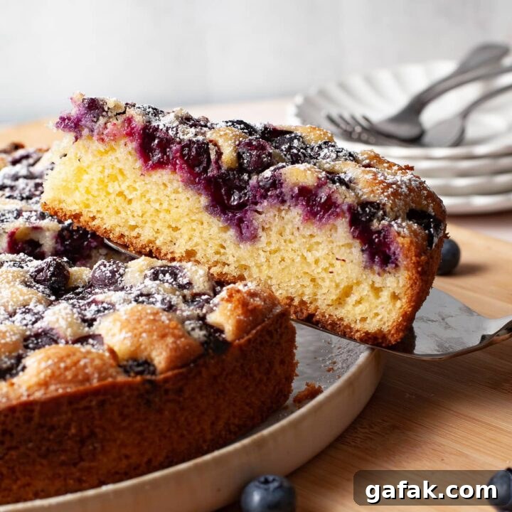 Gluten Free Blueberry Cake