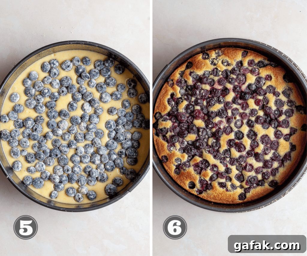 Gluten-Free Blueberry Cake Recipe with Moist, Tender Crumb 7 img 9727 6