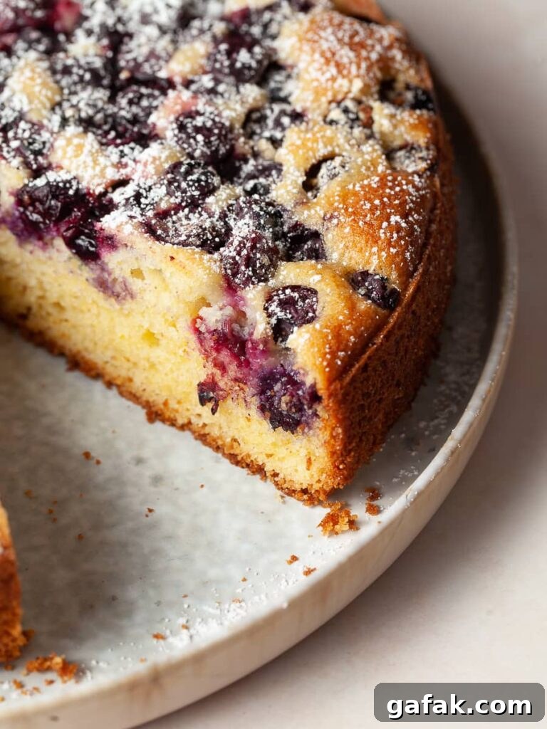 Gluten-Free Blueberry Cake Recipe with Moist, Tender Crumb 8 gluten free blueberry cake