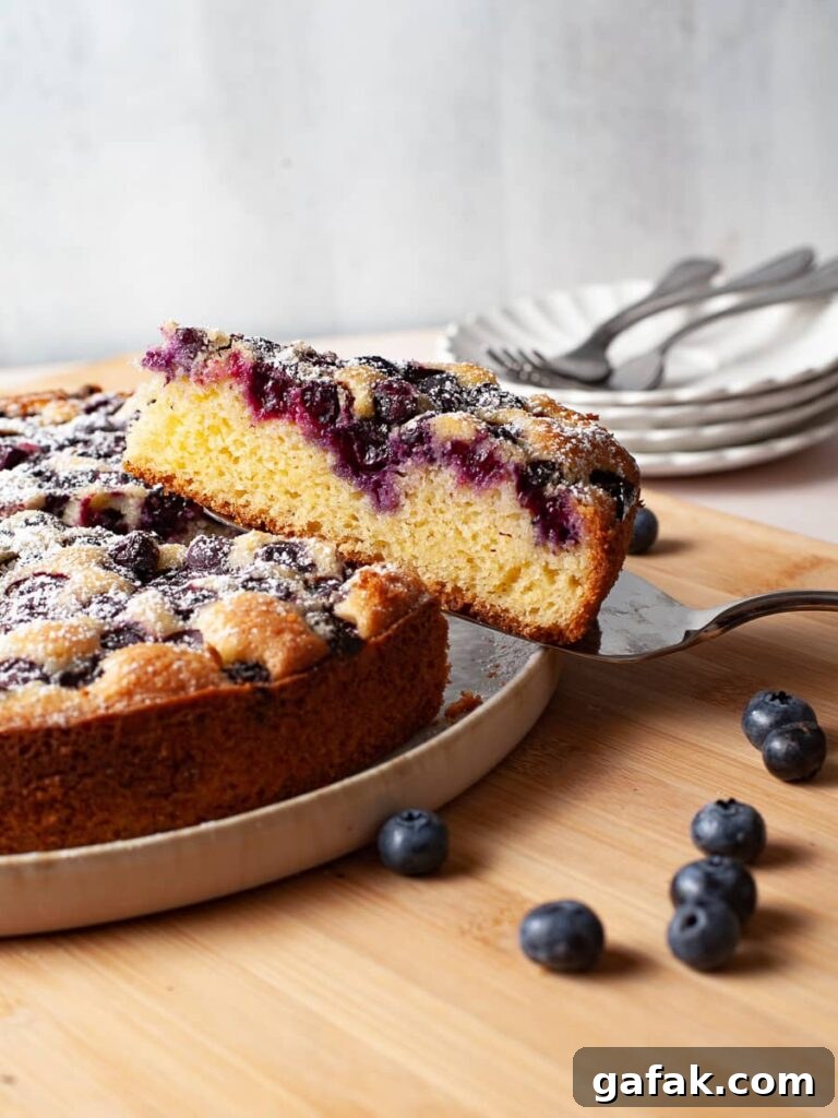 Gluten-Free Blueberry Cake Recipe with Moist, Tender Crumb 9 slice of gluten free blueberry cake