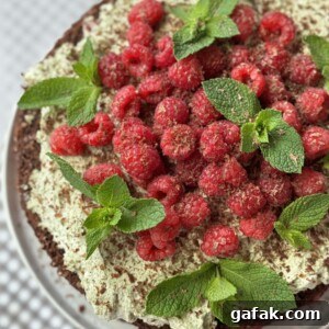 top down view of chocolate raspberry cake.