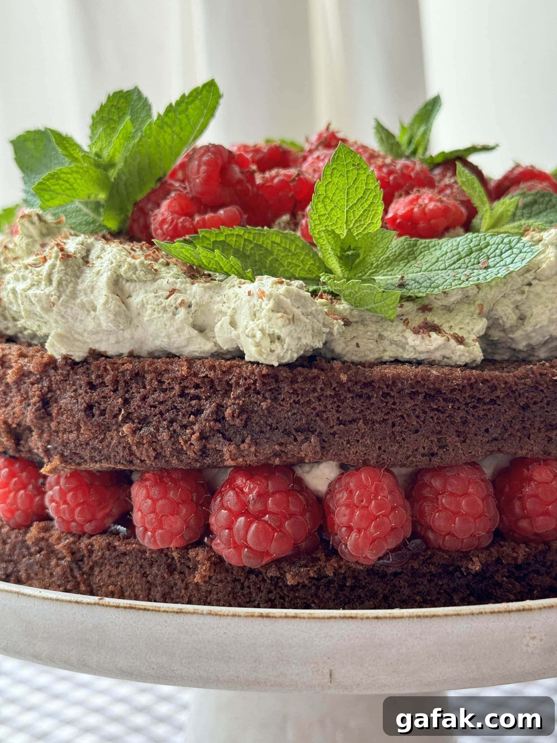 close up of chocolate raspberry cake.