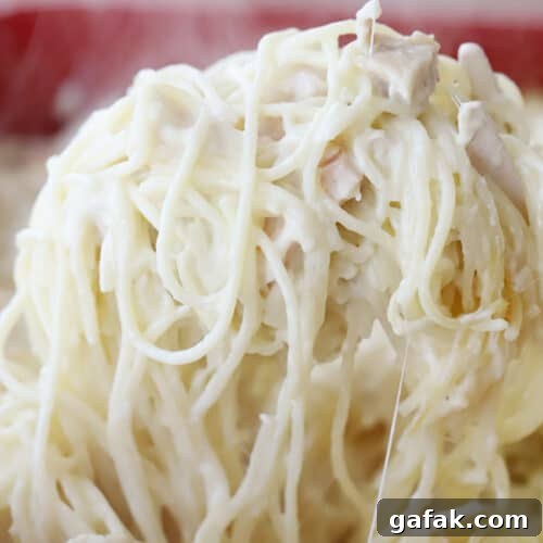 A ladle holding up a large scoop of chicken spaghetti.